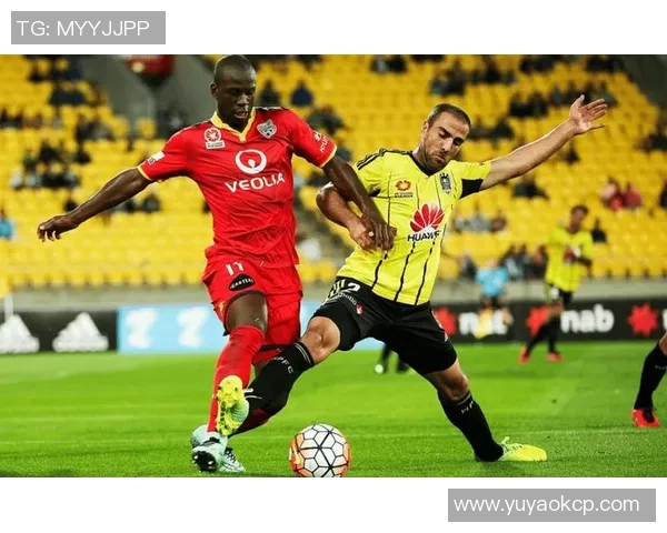 布里斯班对阵阿德莱德联的比赛预测分析及胜负趋势探讨